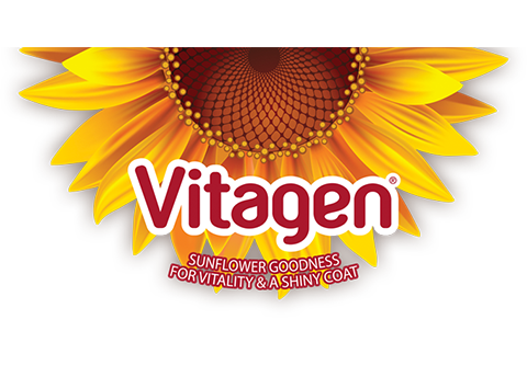 Vitagen