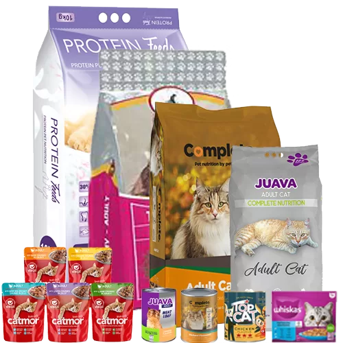 CaTFoods png