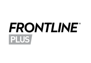 Frontline Plus 1