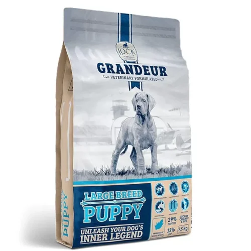 JOCK GRANDEUR PUPPY 1