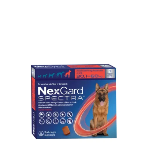 NEXGARD SPECTRA XL LARGE SINGLE 30.1 60KG png 1