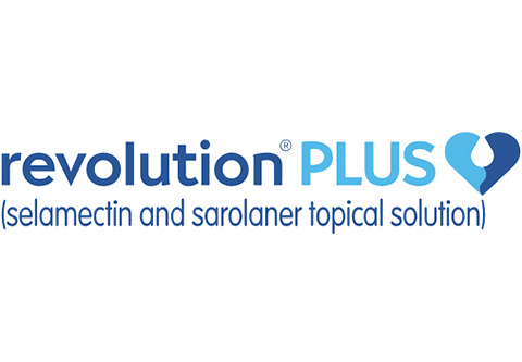 Revolution Plus
