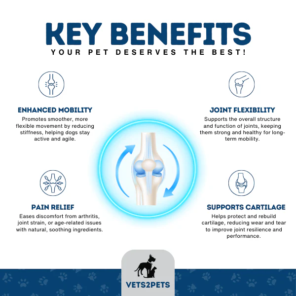 Vets2Pets Premium Joint Support Powder for Dogs, 250g