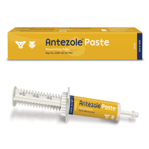 Kyron Antezole Paste - 15ml Deworming For Cats And Dogs