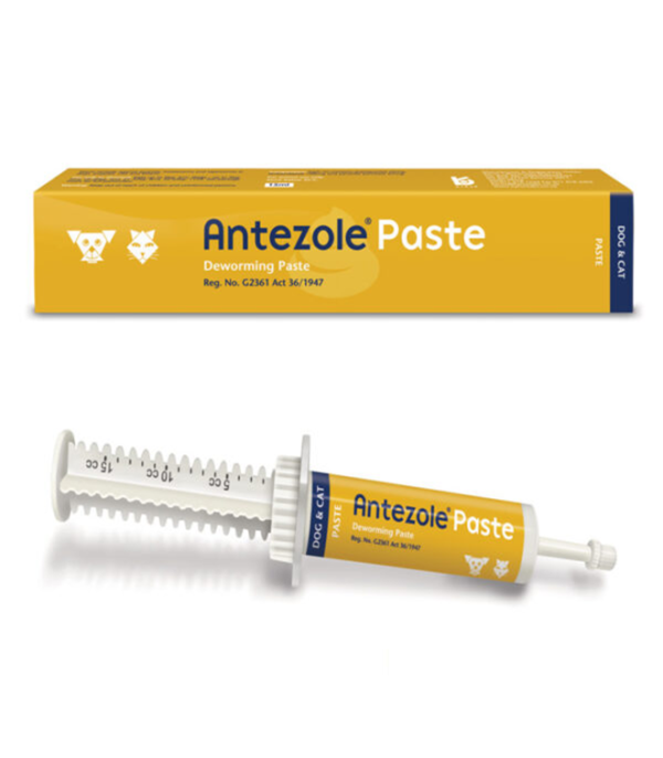 Kyron Antezole Paste - 15ml Deworming For Cats And Dogs