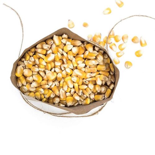 Serfco Whole Yellow Maize 5kg