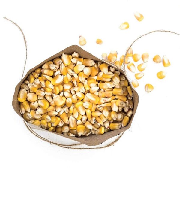 Serfco Whole Yellow Maize 10kg